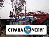 Валка деревьев шлифовка и конопатка Новомосковск