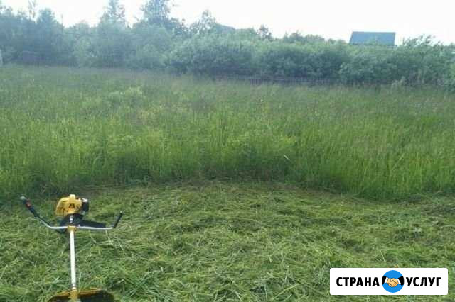 Покос травы Егорлыкская - изображение 1