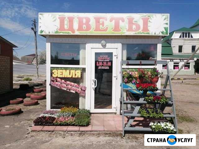 Доставка цветов Почеп - изображение 1
