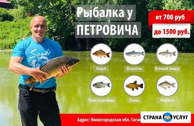 Платная рыбалка Гагино - изображение 1