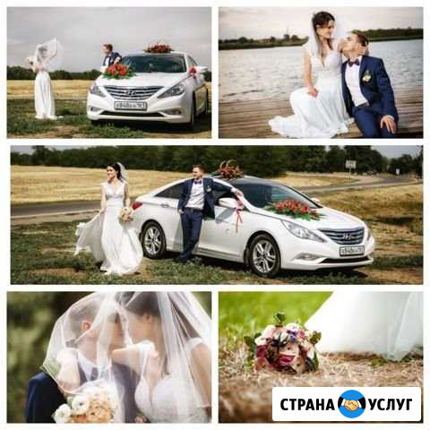 Фото, профессионально Сальск - изображение 1