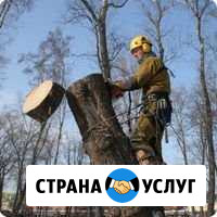 Спил Деревьев любой сложности Петрозаводск - изображение 1