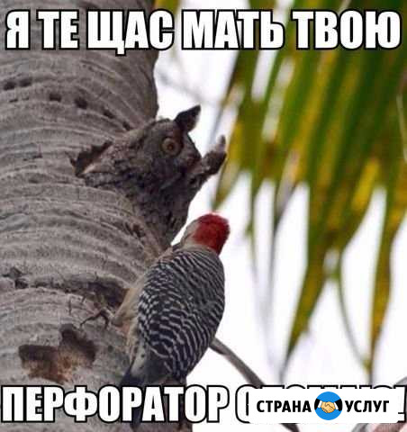 Ремонт бензоинструмента г.Белорецк Белорецк - изображение 1