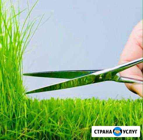 Покос травы, кустарников, благоустройство территор Пермь