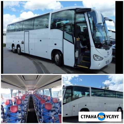Пассажирские перевозки,аренда автобуса Санкт-Петербург - изображение 1