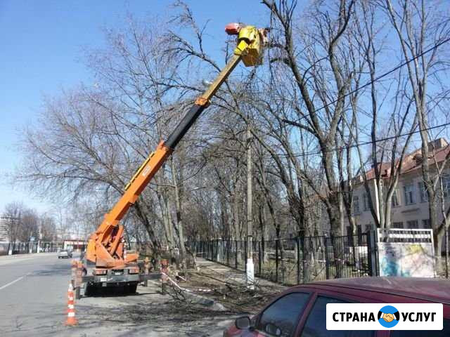 Профессиональный спил деревьев, чистка лэп Уйское - изображение 1
