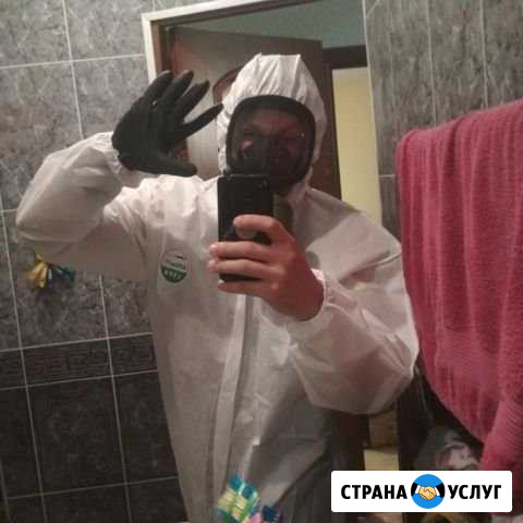 Частный дезинфектор. Уничтожение тараканов, клопов Самара - изображение 1