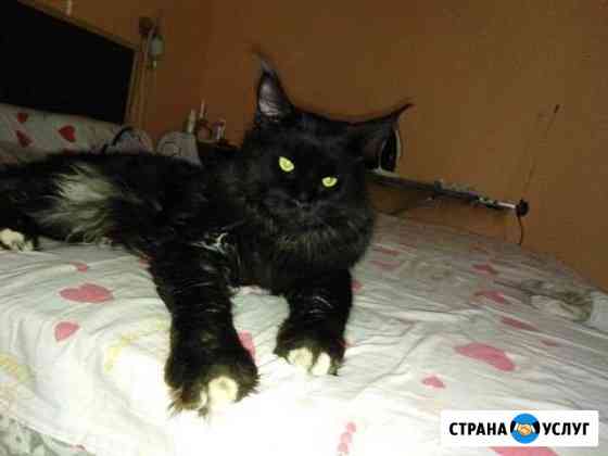 Вязка Анапа