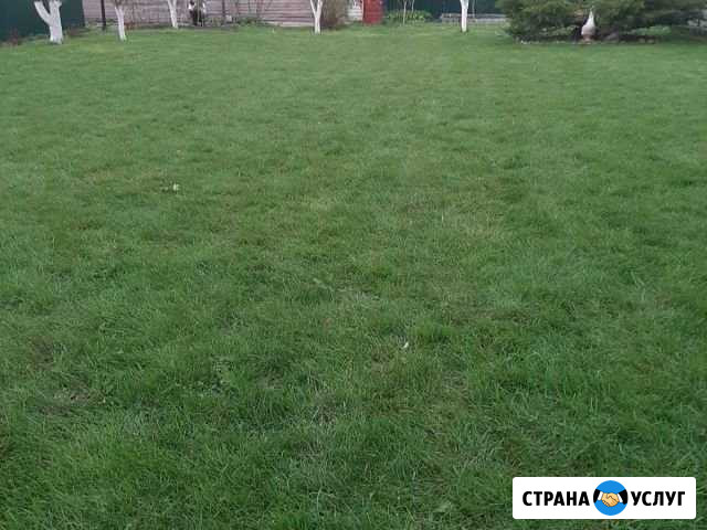 Покос травы Конаково - изображение 1