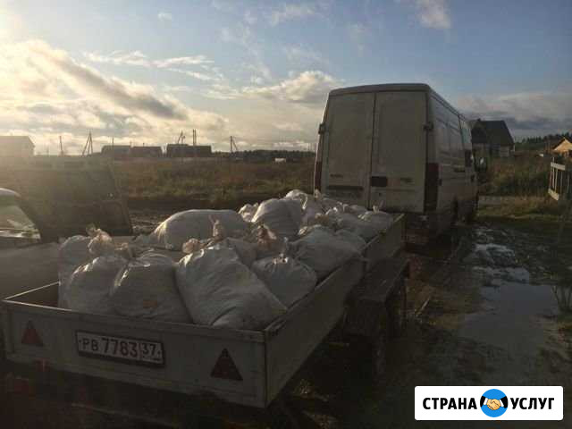 Продам навоз Гостилицы - изображение 1