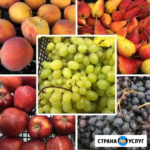 Доставка овощей и фруктов Краснодар - изображение 1