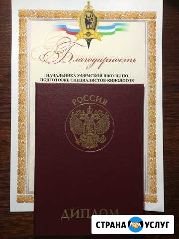 Дрессировка собак с выездом Нальчик - изображение 1