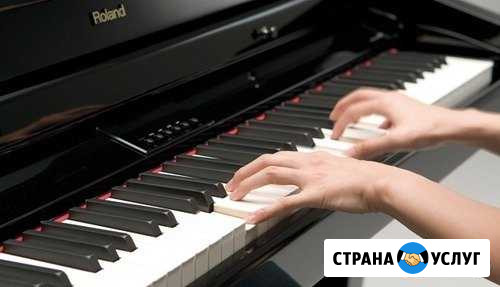 Обучу игре на фортепиано, сольфеджио Брянск - изображение 1