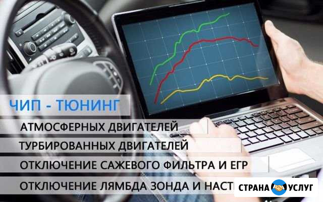 Прошивка без катализатора,клапана егр,сажевого Донской - изображение 1