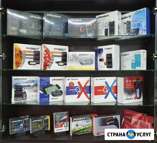 Установка автосигнализаций Pandora Новосибирск - изображение 1