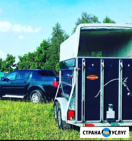 Перевозка лошадей Коневоз Некрасовский - изображение 1