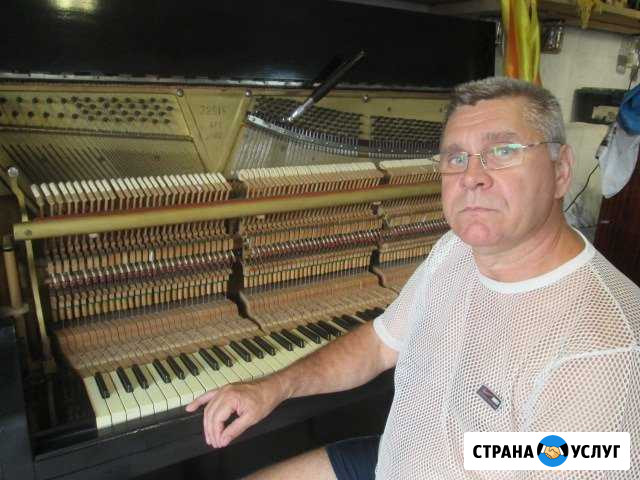 Настройка,ремонт пианино Краснодарский край,город Северская - изображение 1