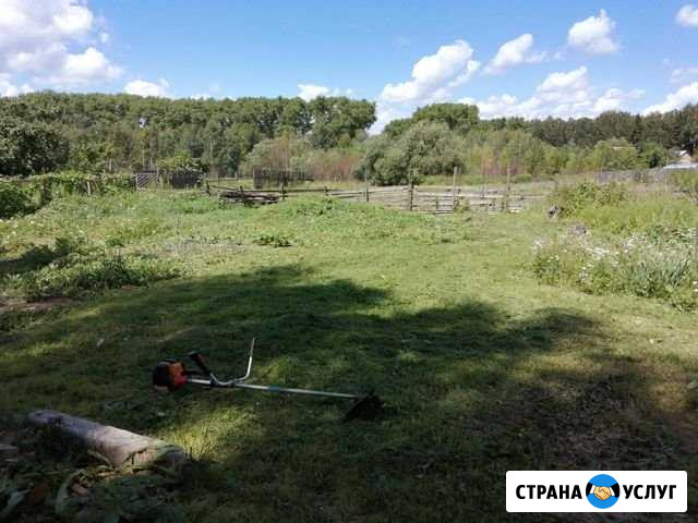 Расчистка участков, покос травы и другие работы Рославль - изображение 1