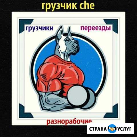 Грузчики Череповец Череповец - изображение 1