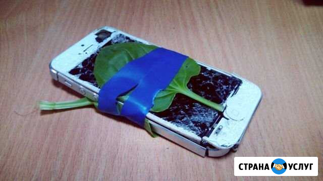 Ремонт iPhone Нижний Новгород - изображение 1