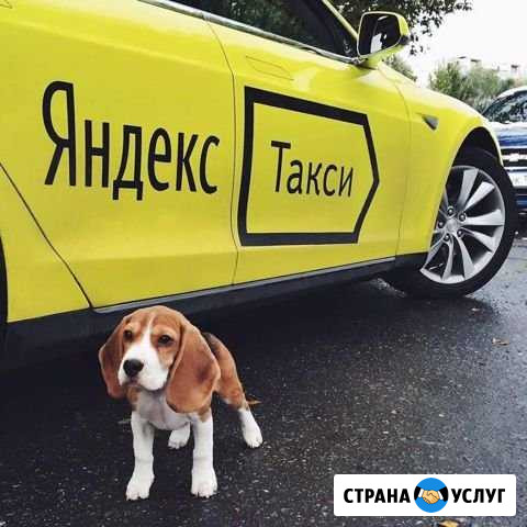 Аренда авто Курск - изображение 1