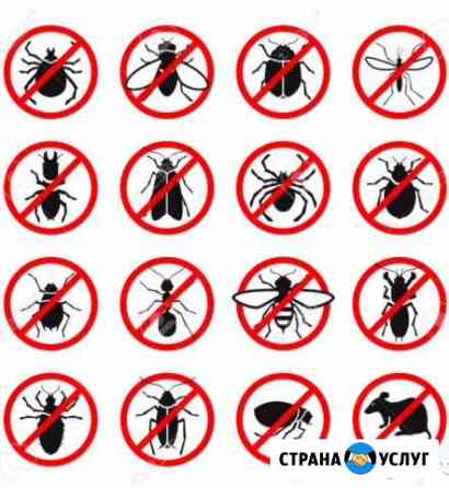 Дезинфекция.Уничтожение тараканов, клопов,муравьёв Анапа