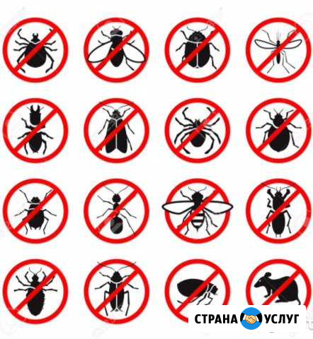Дезинфекция.Уничтожение тараканов, клопов,муравьёв Анапа - изображение 1