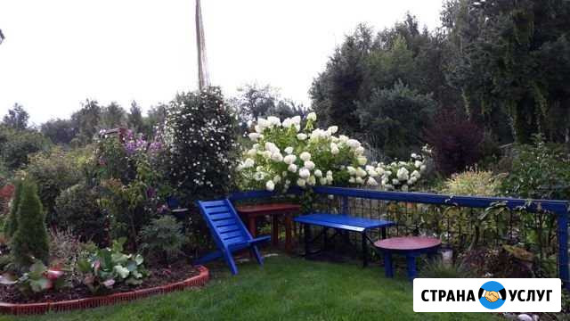 Ландшафтный дизайн.Ландшафтный проект.Создадим сад Ульяновск - изображение 1
