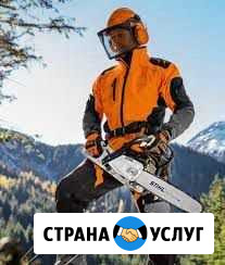 Профессиональный спил деревьев Барнаул - изображение 1