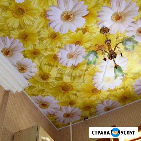 Натяжные потолки Михайловск Михайловск - изображение 1