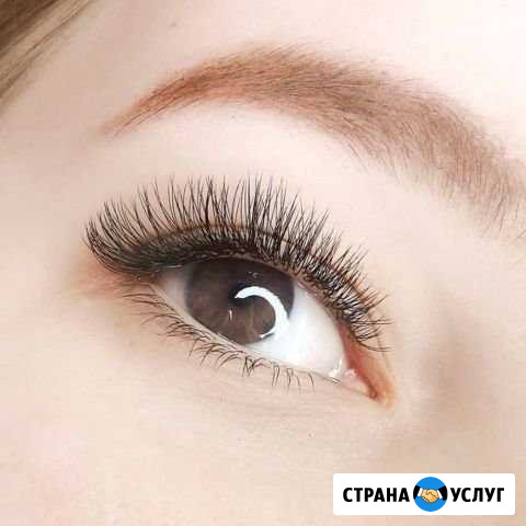 Реснички Благовещенск - изображение 1