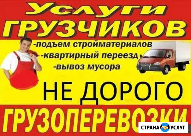 Переезд по Кургану и РФ 24/7 Грузчики Курган - изображение 1