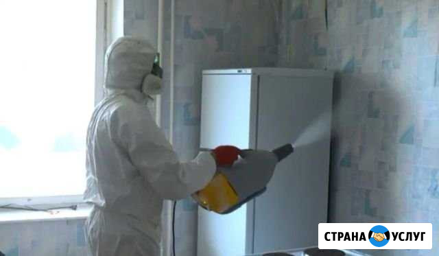 Проведение дезинфекции холодным туманом Нижний Тагил - изображение 1