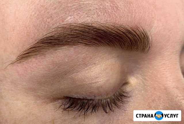 Бровист Старый Оскол - изображение 1