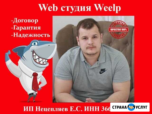 Создание сайтов / Настройка рекламы / Seo Набережные Челны - изображение 1