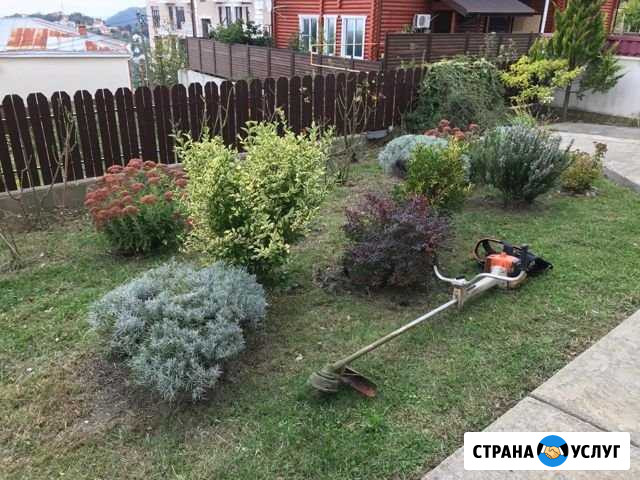 Расчистка участков, покос травы, газоны Сочи - изображение 1
