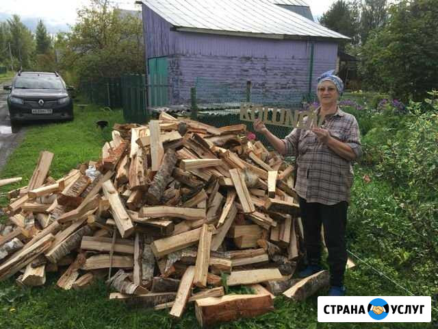 Колотые дрова Череповец - изображение 1