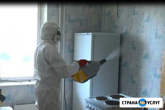 Дезинфекция, дезинсекция, дератизация Екатеринбург - изображение 1