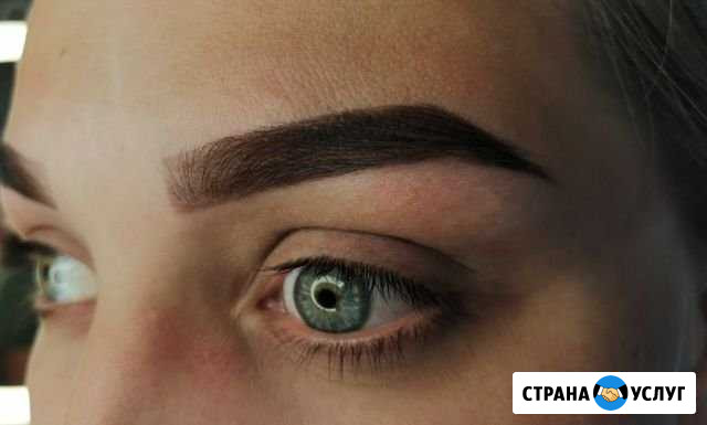 Бровист Тихвин - изображение 1
