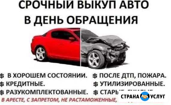 Выкуп авто в любом состоянии утилизация Владимир - изображение 1