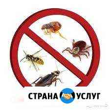Дезинсекция(Уничтожение клопов, тараканов,блох) Ульяновск
