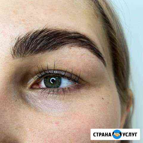 Брови и Коррекция и окрашивание бровей и ресниц, Л Мурино