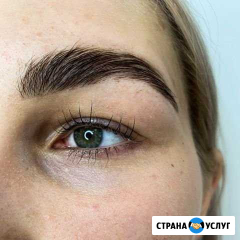 Брови и Коррекция и окрашивание бровей и ресниц, Л Мурино - изображение 1