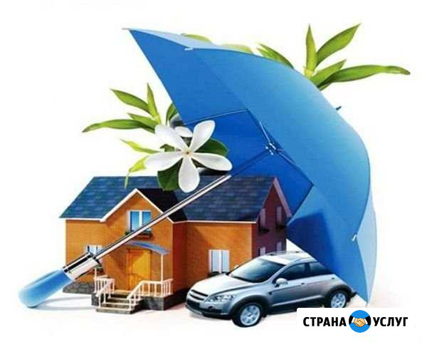 Страхование (осаго, другие виды) Балаково - изображение 1