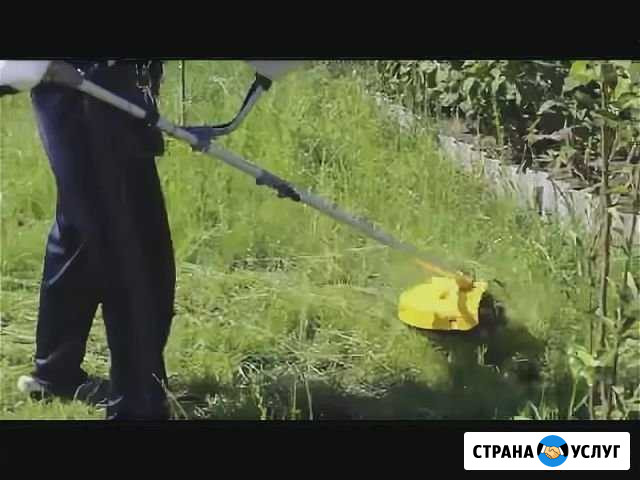 Покос травы Семенов - изображение 1