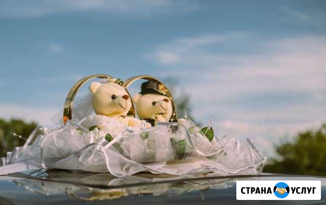 Фото важных моментов Вашей жизни Коломна - изображение 1