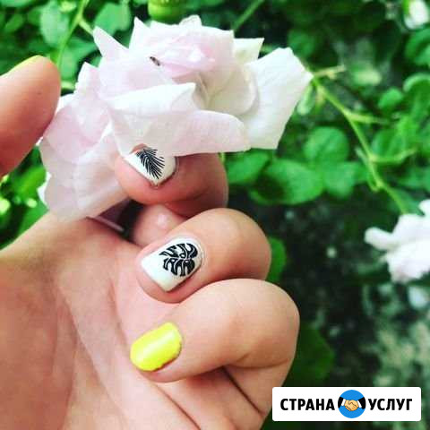 Маникюр Владимир - изображение 1