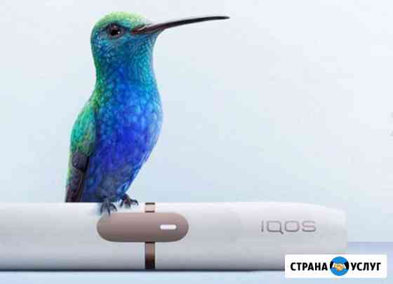 Iqos ремонт Ростов-на-Дону