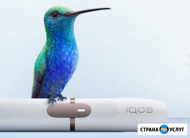 Iqos ремонт Ростов-на-Дону - изображение 1