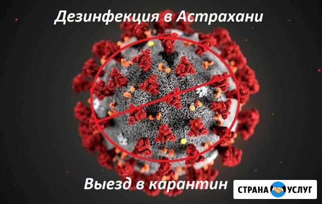 Дезинфекция, дезодорация помещений в Астрахани Астрахань - изображение 1